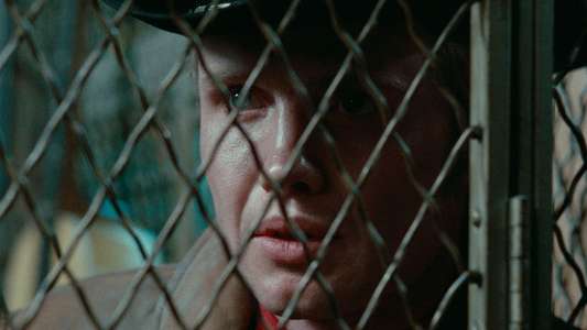 Midnight Cowboy - Backdrop