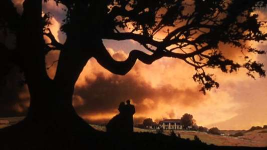 Gone with the Wind - Backdrop