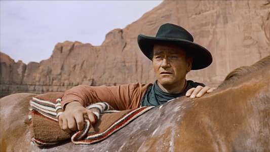 The Searchers - Backdrop