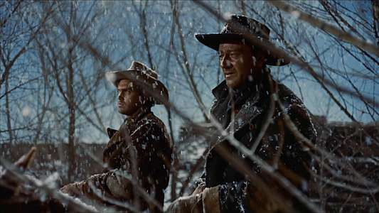 The Searchers - Backdrop