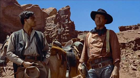 The Searchers - Backdrop