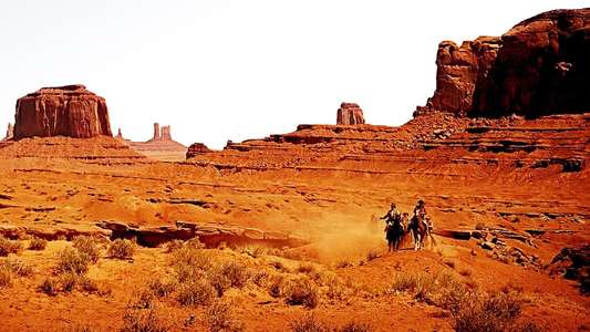The Searchers - Backdrop