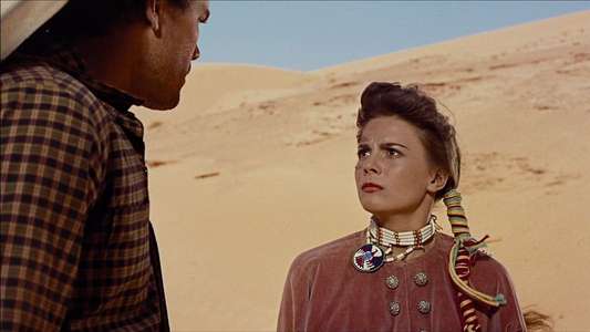 The Searchers - Backdrop