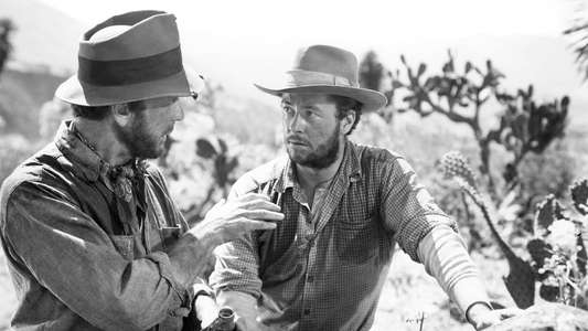 The Treasure of the Sierra Madre - Backdrop