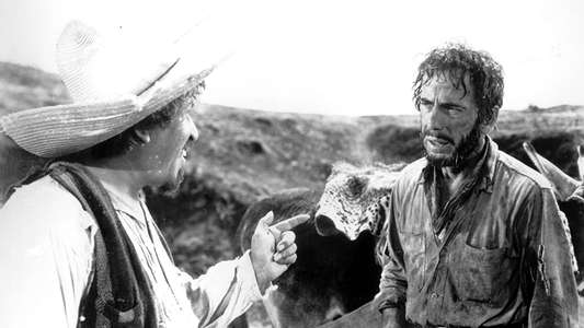 The Treasure of the Sierra Madre - Backdrop