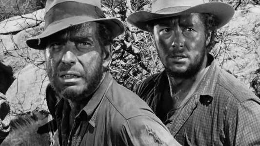 The Treasure of the Sierra Madre - Backdrop