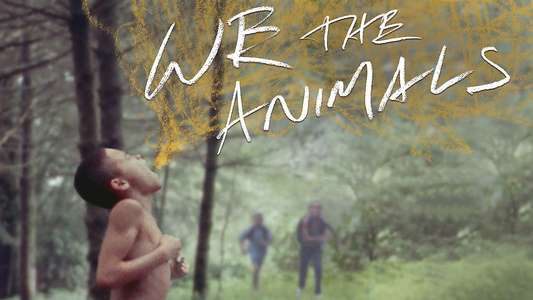 We the Animals - Backdrop