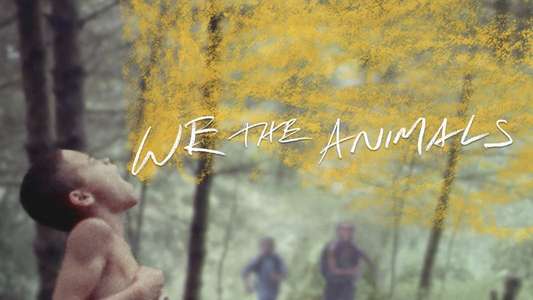We the Animals - Backdrop