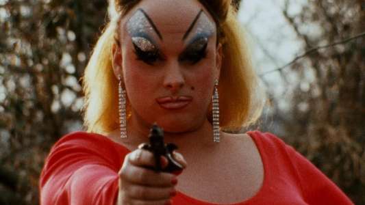 Pink Flamingos - Backdrop