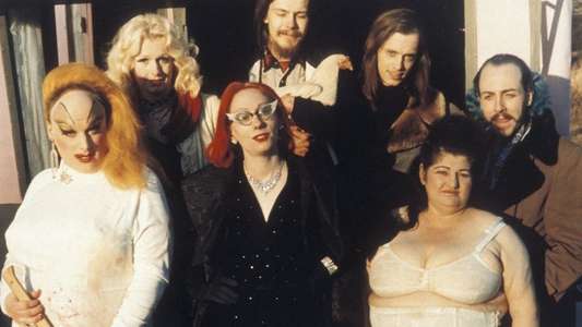 Pink Flamingos - Backdrop