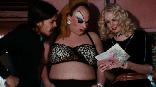 Pink Flamingos - Backdrop
