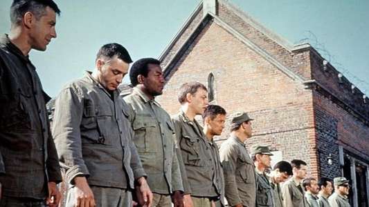 The Dirty Dozen - Backdrop
