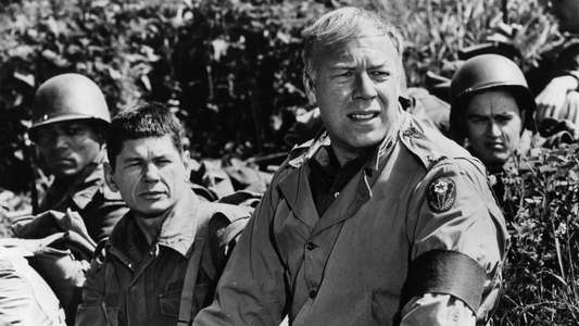The Dirty Dozen - Backdrop