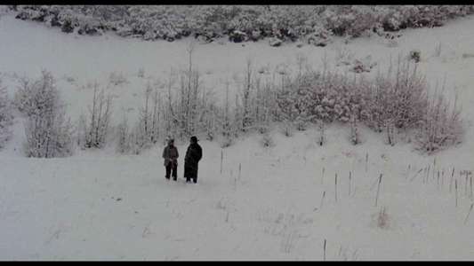 Chilly Scenes of Winter - Backdrop