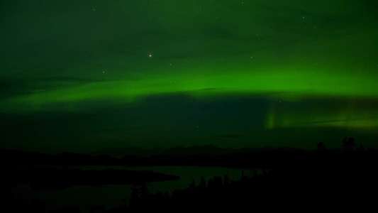 Stars in the Sky: A Hunting Story - Backdrop