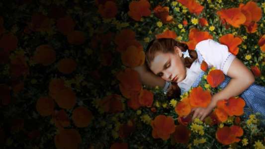 The Wizard of Oz - Backdrop