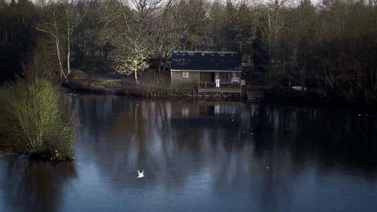 House on Elm Lake - Backdrop