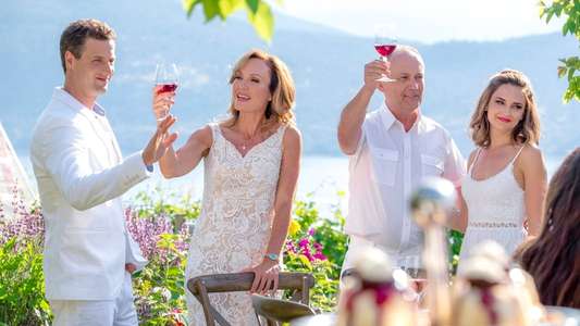 Summer in the Vineyard - Backdrop