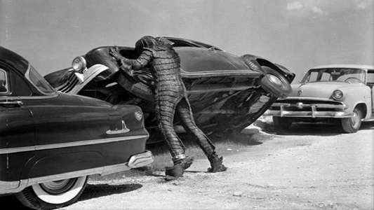 Revenge of the Creature - Backdrop