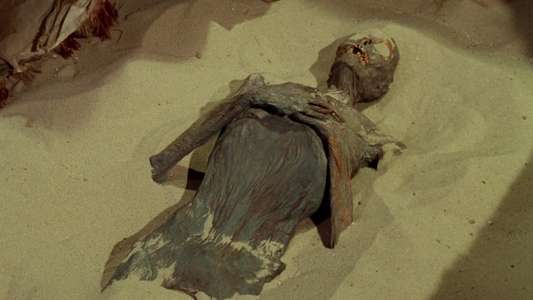 The Mummy's Shroud - Backdrop