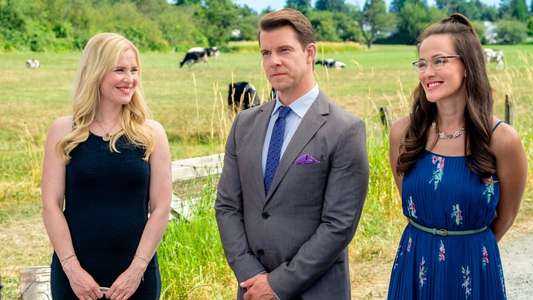 Signed  Sealed  Delivered: Home Again - Backdrop