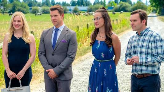 Signed  Sealed  Delivered: Home Again - Backdrop