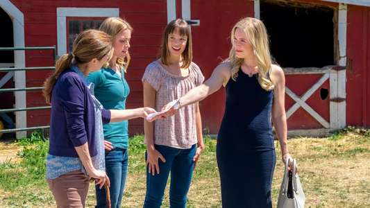 Signed  Sealed  Delivered: Home Again - Backdrop
