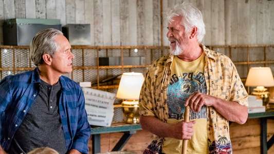 Signed  Sealed  Delivered: Home Again - Backdrop