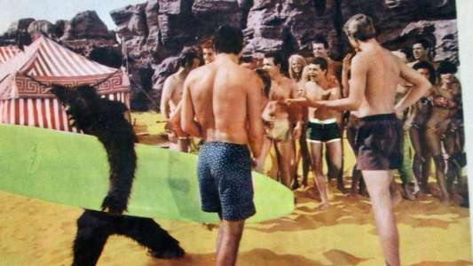 Bikini Beach - Backdrops