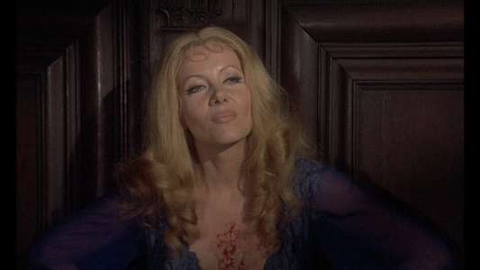 Countess Dracula - Backdrop