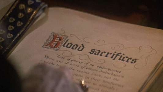 Countess Dracula - Backdrop