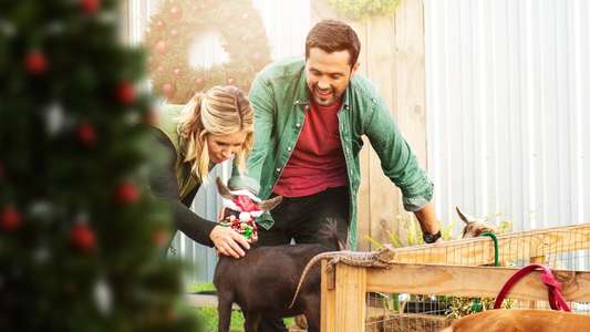 Hometown Christmas - Backdrops