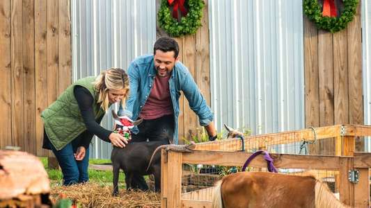 Hometown Christmas - Backdrops
