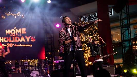 A Home for the Holidays: The 20th Anniversary - Backdrop