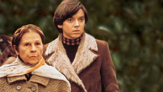 Harold and Maude - Backdrop