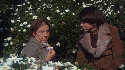 Harold and Maude - Backdrop