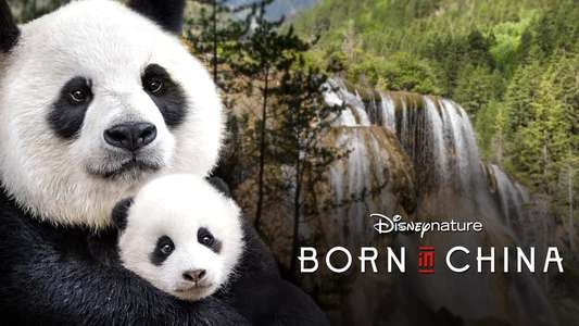 Born in China - Backdrops