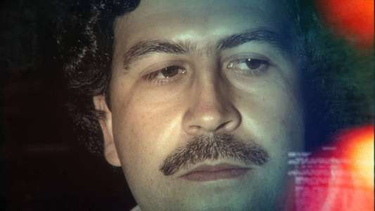 The Rise and Fall of Pablo Escobar - Backdrop