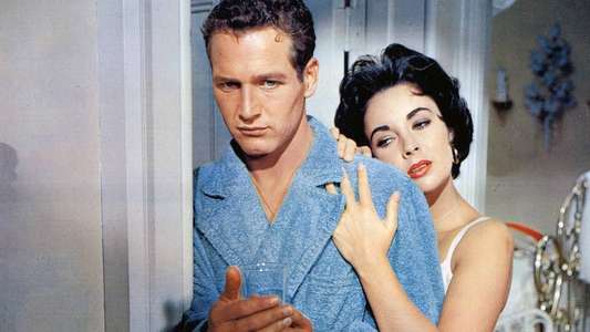 Cat on a Hot Tin Roof - Backdrop