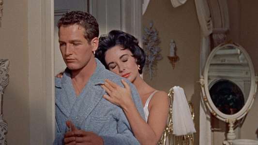 Cat on a Hot Tin Roof - Backdrop
