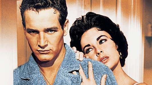 Cat on a Hot Tin Roof - Backdrop