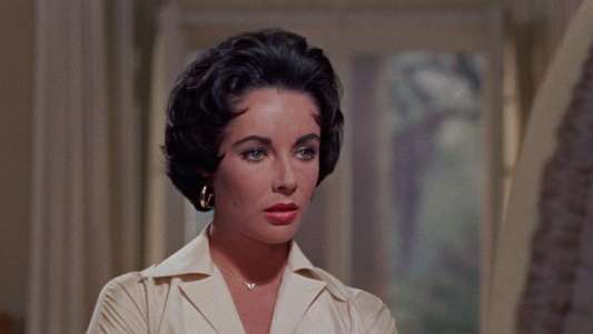 Cat on a Hot Tin Roof - Backdrop