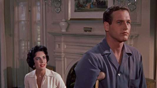 Cat on a Hot Tin Roof - Backdrop