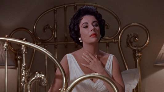 Cat on a Hot Tin Roof - Backdrop