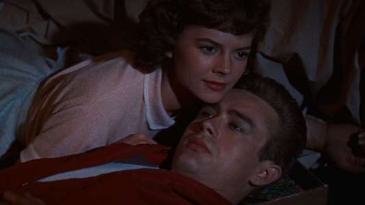 Rebel Without a Cause - Backdrop