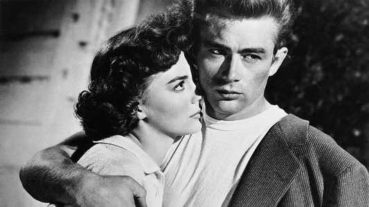 Rebel Without a Cause - Backdrop