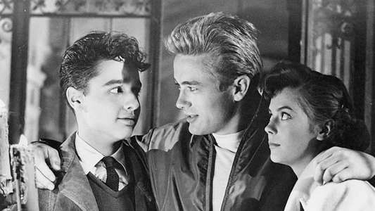 Rebel Without a Cause - Backdrop