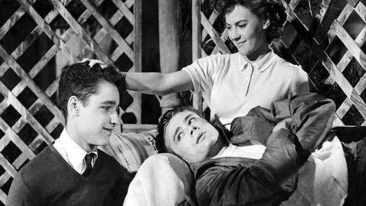 Rebel Without a Cause - Backdrop