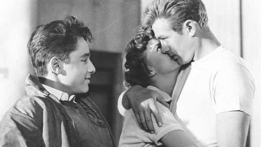 Rebel Without a Cause - Backdrop