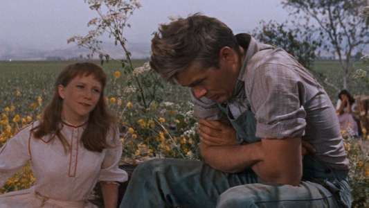 East of Eden - Backdrop